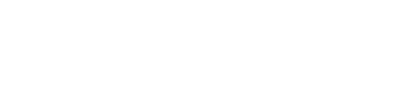 University of Dyslexic Thinking