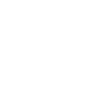 University of Dyslexic Thinking